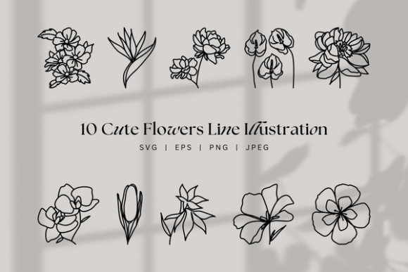Download Cute Floral Line Art, Botanical Flowers - Premium Bundle