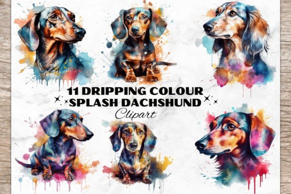 Download Watercolor Dachshund Dog Bundle - Premium Resources