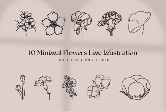 Download Clean Minimal Botanical Floral Lineart - Premium Bundle